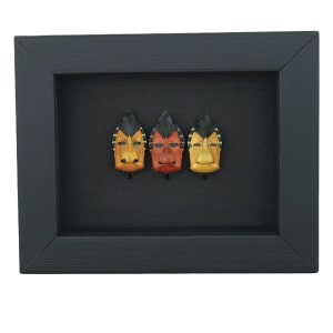 Real Man Face Beetle Collection Catacanthus incarnatus Framed Beetles Taxidermy Moonlight Display