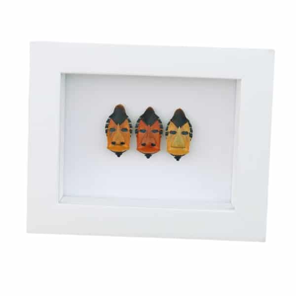 Real Man Face Beetle Collection Catacanthus incarnatus Framed Beetles Taxidermy Vibrant White Display
