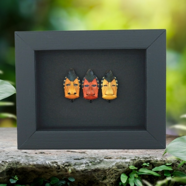 Real Man Face Beetle Collection Catacanthus incarnatus Framed Beetles Taxidermy Moonlight Display