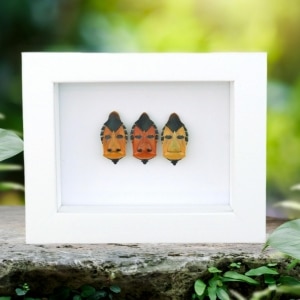 Real Man Face Beetle Collection Catacanthus incarnatus Framed Beetles Taxidermy Vibrant White Display