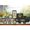 Real Framed Butterflies and Insect Taxidermy Displays by Butterfly Designs USA