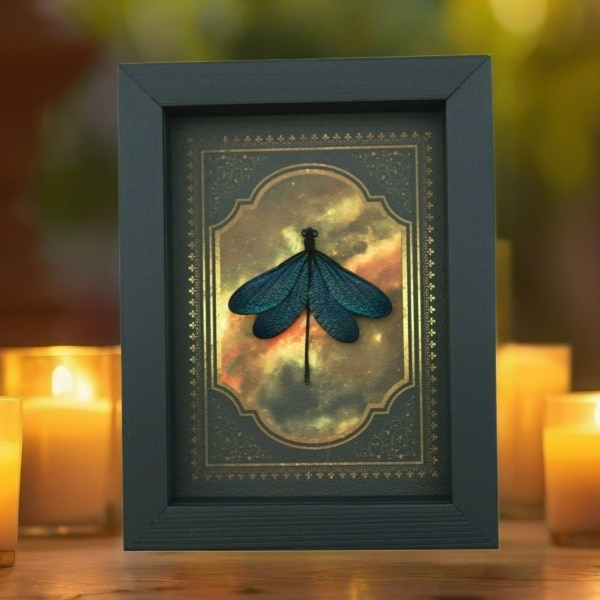 Real Framed Green Damselfly Aurora Borealis Gothic Gold Border Display
