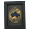 Real Framed Green Damselfly Aurora Borealis Gothic Gold Border Display