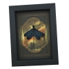 Real Framed Green Damselfly Aurora Borealis Gothic Gold Border Display