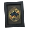 Real Framed Green Damselfly Aurora Borealis Gothic Gold Border Display