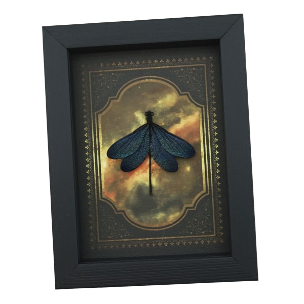 Real Framed Green Damselfly Aurora Borealis Gothic Gold Border Display