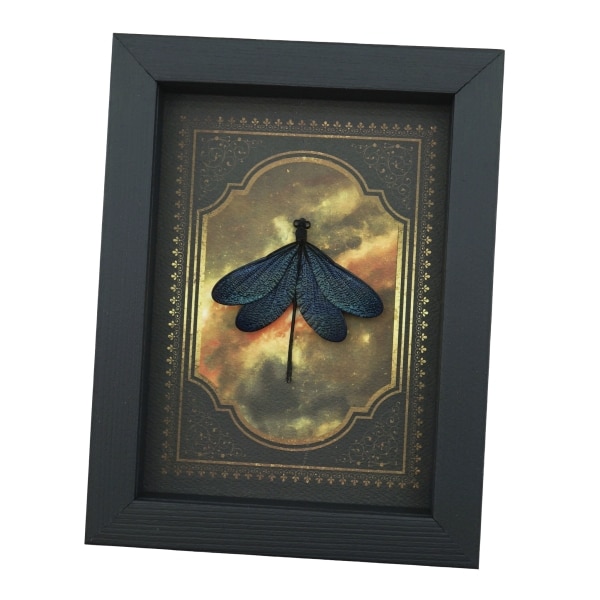 Real Framed Green Damselfly Aurora Borealis Gothic Gold Border Display