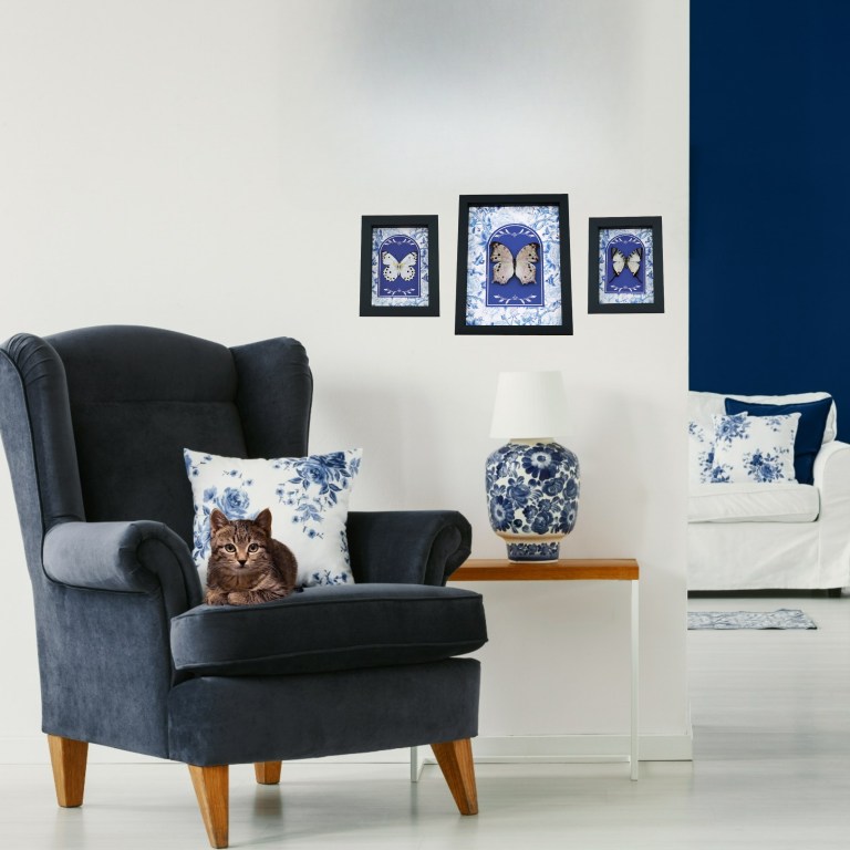 Set of 3 Real White Butterflies Floral Blue Chintz Framed Butterfly Taxidermy Display