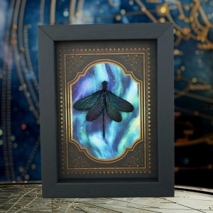 Real Framed Gothic Damselfly Blue Purple Aurora Borealis Gold Border Display