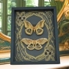 Real Framed Silk moth Set Antheraea polyphemus pair Art Nouveau Framed Taxidermy Display