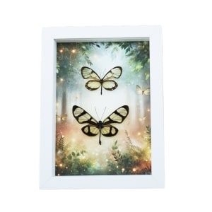 Glasswing Butterfly Collection Framed Enchanted Forest Butterflies Taxidermy Display Vibrant White